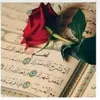 user7845952041803