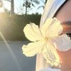 .nada_ahmed701