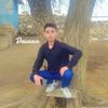 devran4041