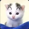 thuylinhnehih