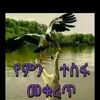 user1222615829295