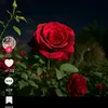 user1887513186553