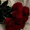 _mariasantossss_