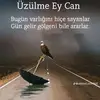 yasarcamur960