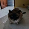 ericc_67