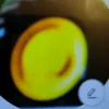 fred_261274