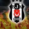 bar.sarkaya1
