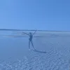 heleneharvey5