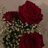 silentcharm2