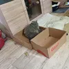 lea_on_shit22