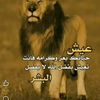 user83249423734703