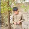baraymajed