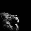 ebrahim.basha3