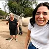 66SIGILO66