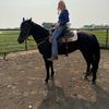 bippityboppitycowgirl
