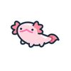 axolotl_lover1236