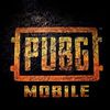 user7859697119028