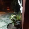 yeri.david.rodrig4
