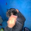 lukzz3127