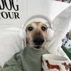 jk_abcdefthv
