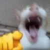 bogiaoducvadaotao_1