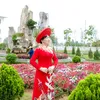 daohoa030465