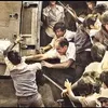 t.m.bn.kim.duyt.t59