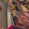 lion.josu