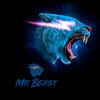 Mr beast