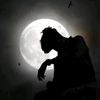 md..emon6020