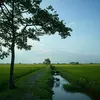 huongqueedu.com