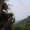 midiacroos