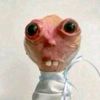 spanglebeb