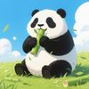 Panda Drama