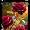user70261867783394