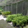 plantvase_