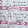 marash736