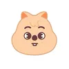 skz.whoo0