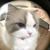 quydoaxa_duabaonhattgi