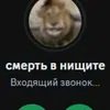 pisya835