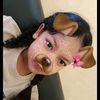 cecee0080