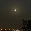 afl.166765338