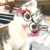 tissnurrrrr_1