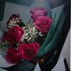 _hixo8494
