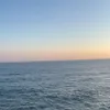 malsspam19