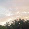 riel.12304