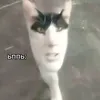 twisssteeerrr