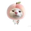 udev_piw