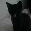 lelevyz