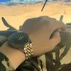abdou.driss8